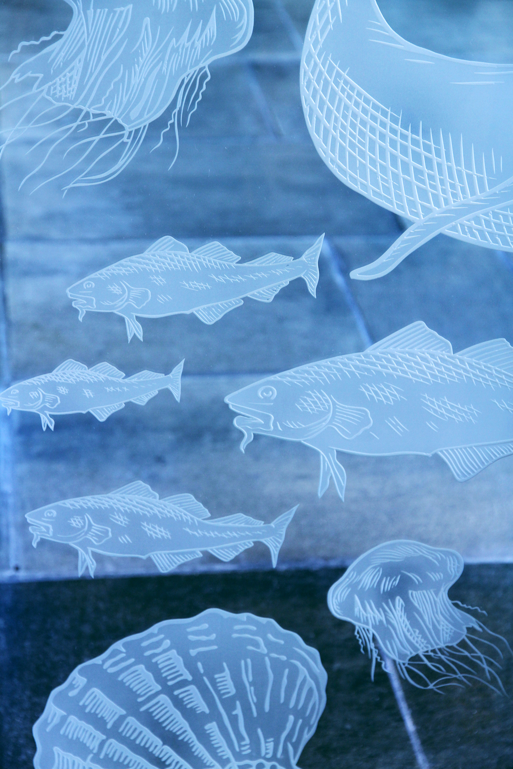 Havforskningsinstituttet