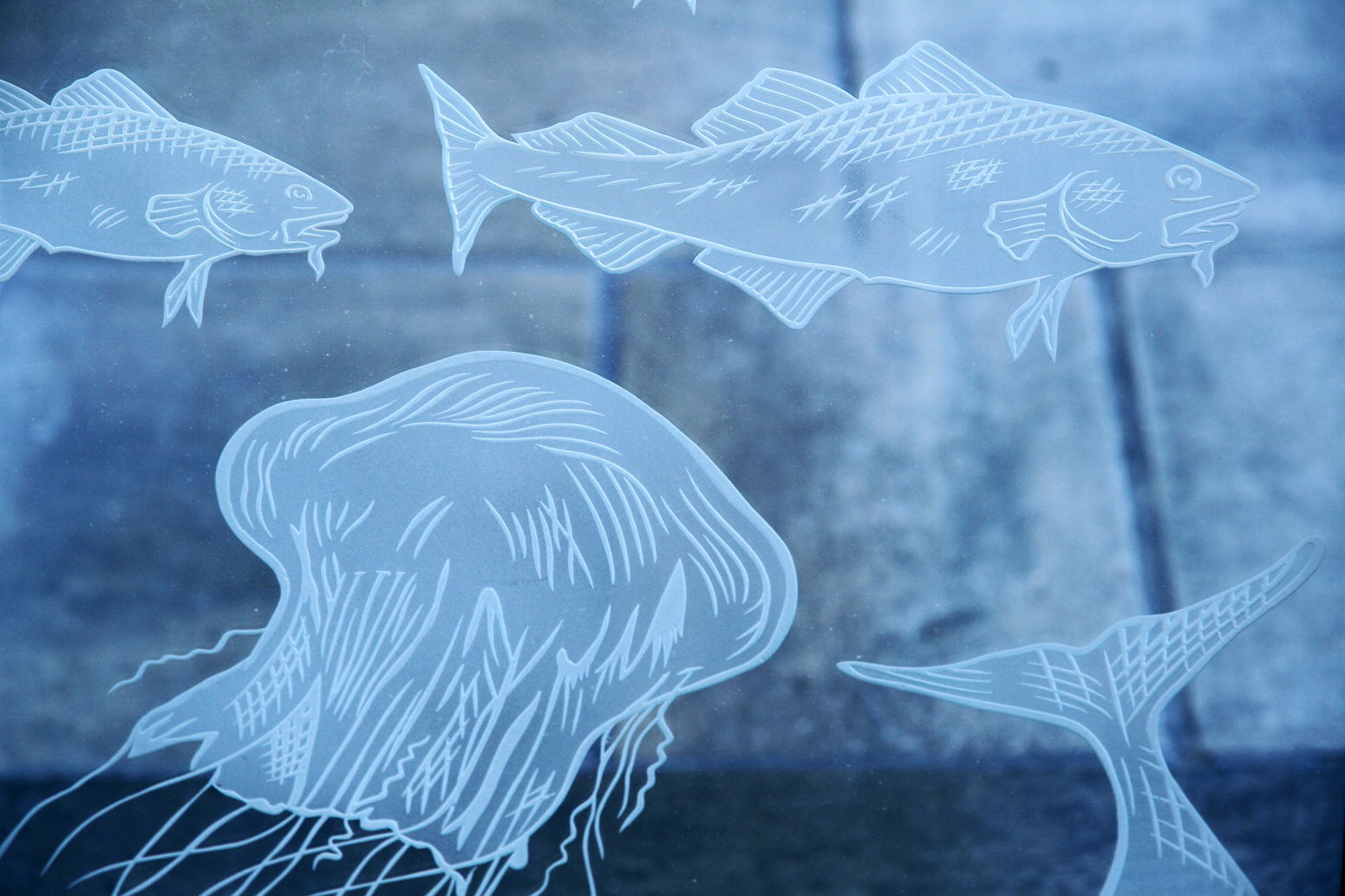 Havforskningsinstituttet